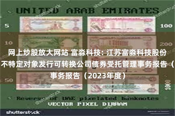 网上炒股放大网站 富淼科技: 江苏富淼科技股份有限公司向不特定对象发行可转换公司债券受托管理事务报告(2023年度)