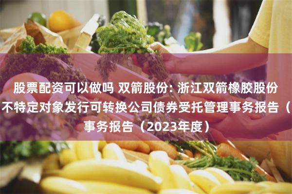 股票配资可以做吗 双箭股份: 浙江双箭橡胶股份有限公司向不特定对象发行可转换公司债券受托管理事务报告(2023年度)