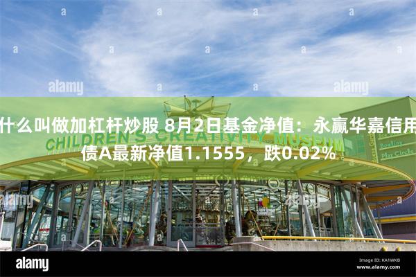 什么叫做加杠杆炒股 8月2日基金净值：永赢华嘉信用债A最新净值1.1555，跌0.02%