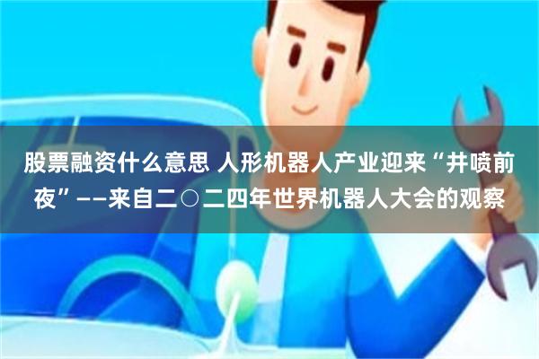 股票融资什么意思 人形机器人产业迎来“井喷前夜”——来自二○二四年世界机器人大会的观察