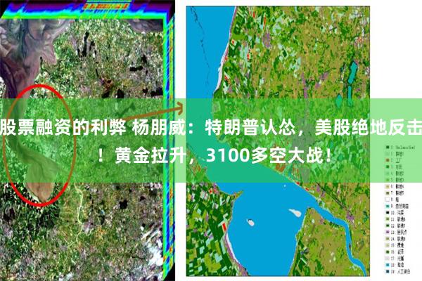股票融资的利弊 杨朋威：特朗普认怂，美股绝地反击 ！黄金拉升，3100多空大战！