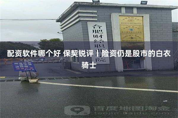 配资软件哪个好 保契锐评丨险资仍是股市的白衣骑士