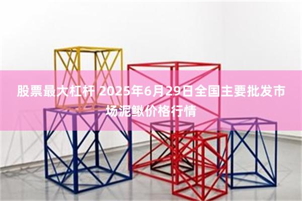 股票最大杠杆 2025年6月29日全国主要批发市场泥鳅价格行情