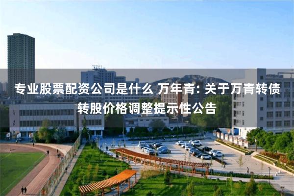 专业股票配资公司是什么 万年青: 关于万青转债转股价格调整提示性公告