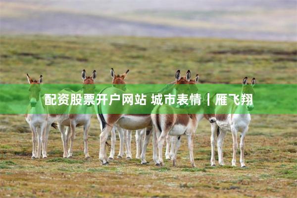 配资股票开户网站 城市表情｜雁飞翔